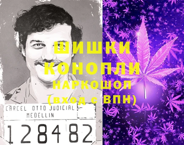 гашик Арсеньев
