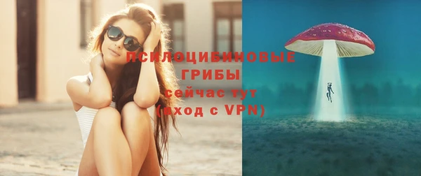 гашик Арсеньев