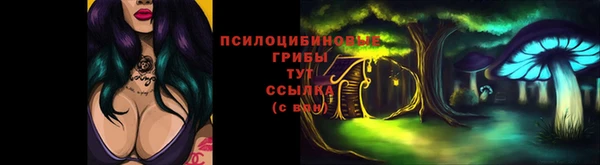 гашик Арсеньев