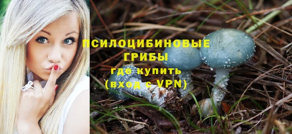 тгк Армянск