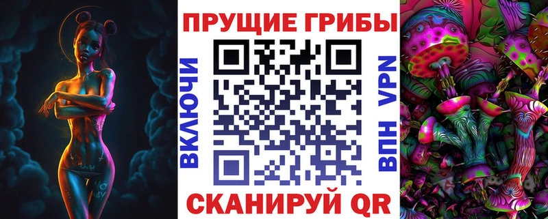 Галлюциногенные грибы Psilocybine cubensis  Сретенск 